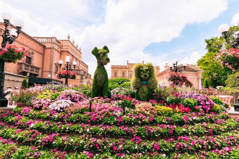 Disney World